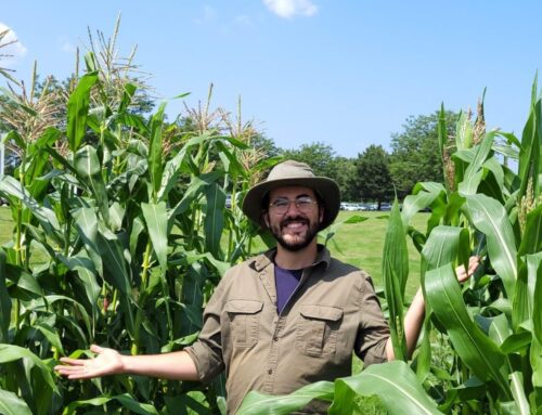Niagara College horticultural program graduate brings learning full circle in local food production